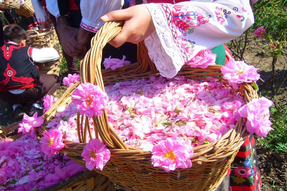 Kashan - Rose Water Festival